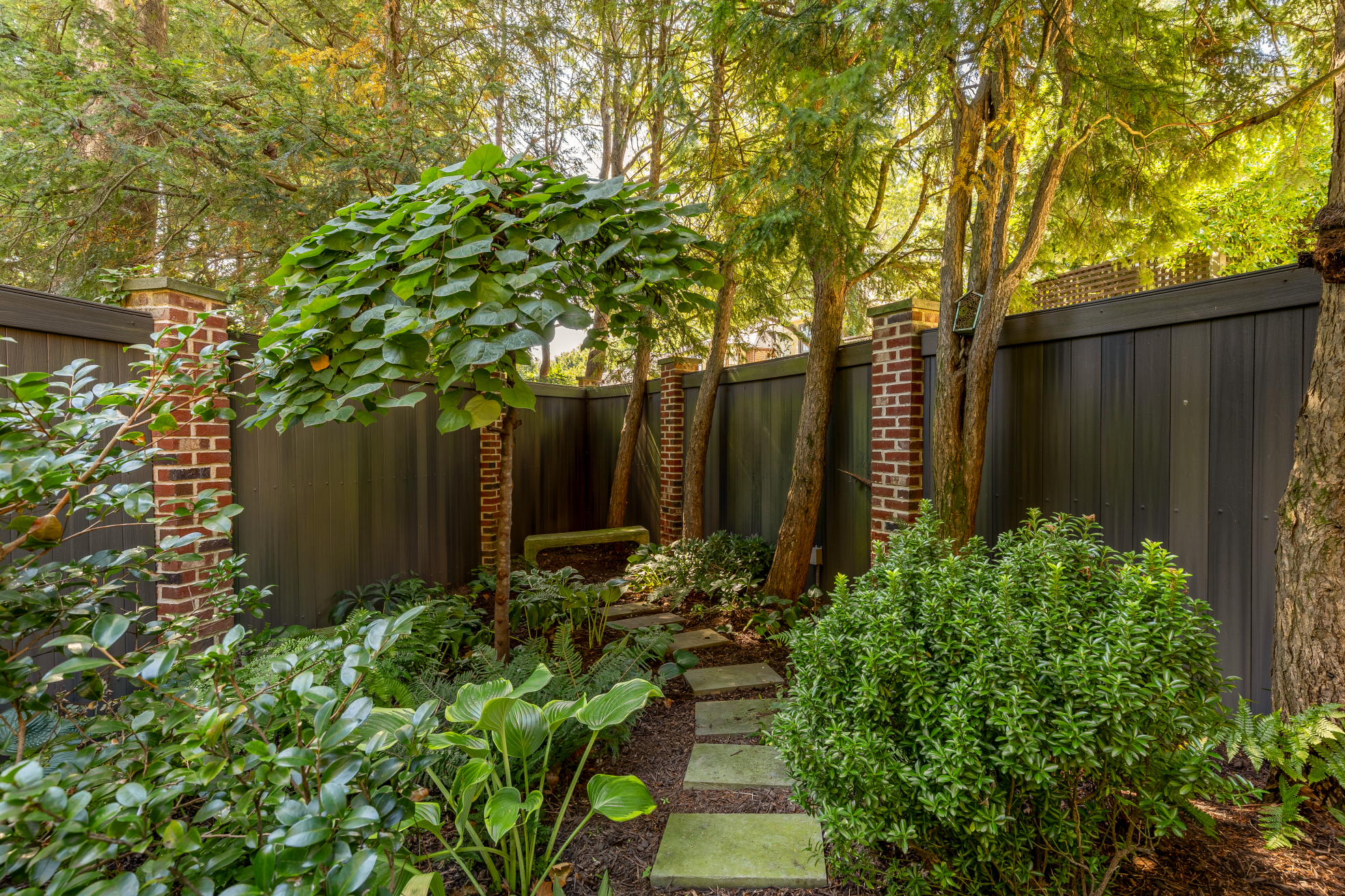 3620 Yum St NW DC garden trees
